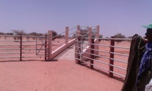 20160402_121254.jpg